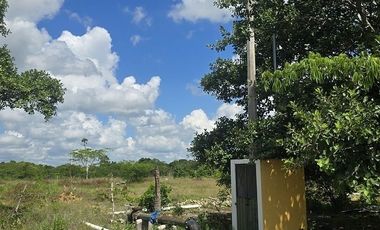 ¡Excelente Rancho en venta, 59 Has! Tizimin, Yucatán.