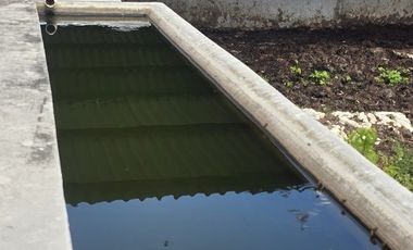 ¡Excelente Rancho en venta, 59 Has! Tizimin, Yucatán.