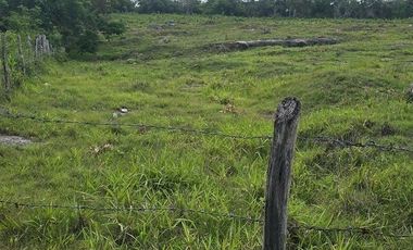 ¡Excelente Rancho en venta, 59 Has! Tizimin, Yucatán.