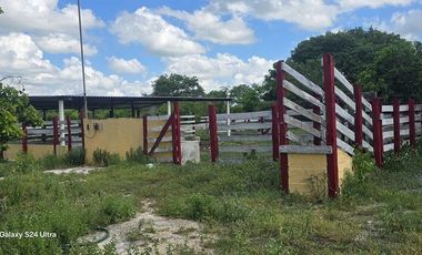 ¡Excelente Rancho en venta, 59 Has! Tizimin, Yucatán.