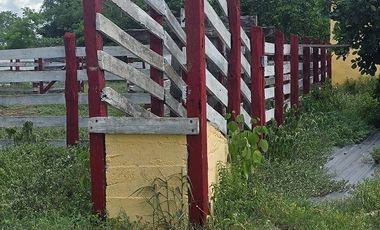 ¡Excelente Rancho en venta, 59 Has! Tizimin, Yucatán.