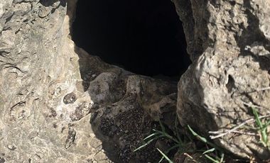 ¡Excelente Rancho en venta, 59 Has! Tizimin, Yucatán.