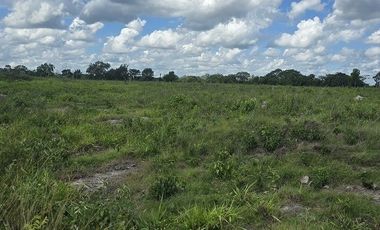 ¡Excelente Rancho en venta, 59 Has! Tizimin, Yucatán.