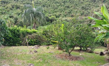 VENTA CASA FINCA EN CONJUNTO CERRADO EN CHINAUTA CUNDINAMARCA