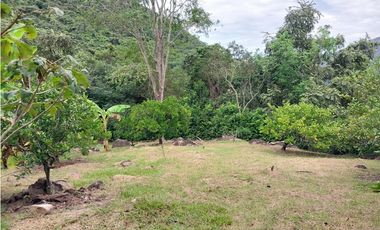 VENTA CASA FINCA EN CONJUNTO CERRADO EN CHINAUTA CUNDINAMARCA