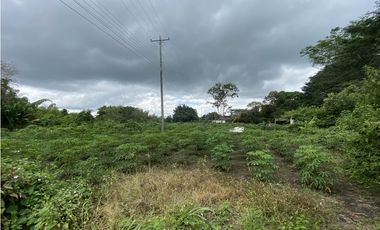 LOTE EN VENTA ARMENIA QUINDO