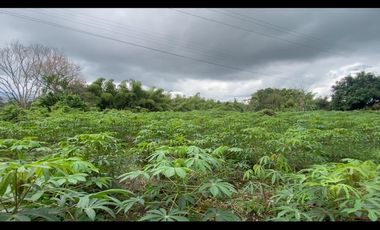 LOTE EN VENTA ARMENIA QUINDO