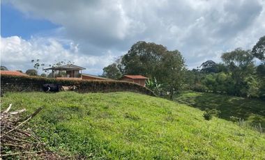 LOTE CAMPESTRE SALENTO 6460