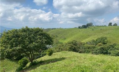 LOTE CAMPESTRE SALENTO 6460