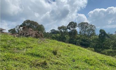 LOTE CAMPESTRE SALENTO 6460