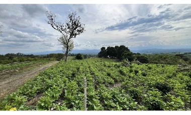 VENTA DE FINCA EN ALCAL, VALLE, COLOMBIA
