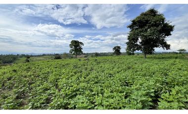 VENTA DE FINCA EN ALCAL, VALLE, COLOMBIA