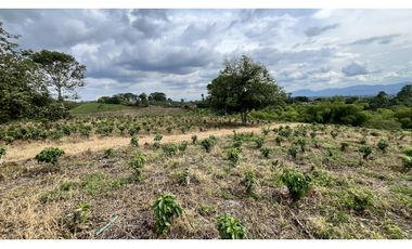 VENTA DE FINCA EN ALCAL, VALLE, COLOMBIA