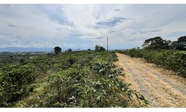 VENTA DE FINCA EN ALCAL, VALLE, COLOMBIA