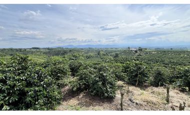 VENTA DE FINCA EN ALCAL, VALLE, COLOMBIA