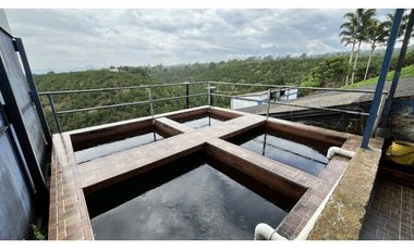 VENTA DE FINCA EN ALCAL, VALLE, COLOMBIA