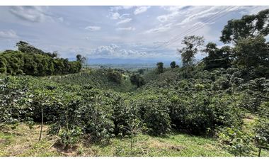 VENTA DE FINCA EN ALCAL, VALLE, COLOMBIA