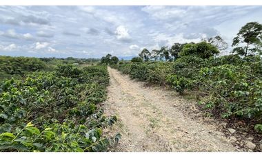 VENTA DE FINCA EN ALCAL, VALLE, COLOMBIA