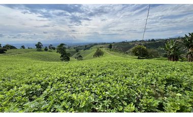 VENTA DE FINCA EN ALCAL, VALLE, COLOMBIA