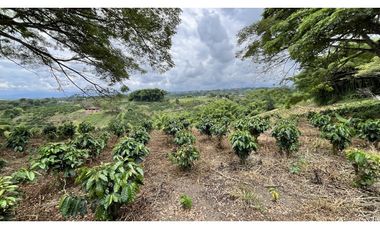 VENTA DE FINCA EN ALCAL, VALLE, COLOMBIA