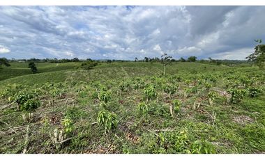 VENTA DE FINCA EN ALCAL, VALLE, COLOMBIA