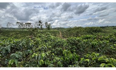 VENTA DE FINCA EN ALCAL, VALLE, COLOMBIA
