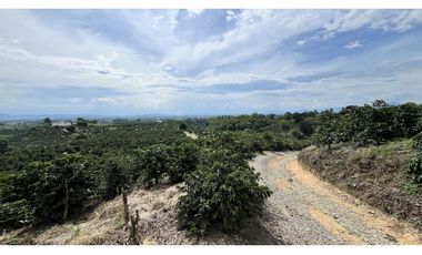 VENTA DE FINCA EN ALCAL, VALLE, COLOMBIA