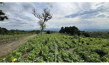 VENTA DE FINCA EN ALCAL, VALLE, COLOMBIA