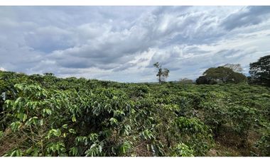 VENTA DE FINCA EN ALCAL, VALLE, COLOMBIA