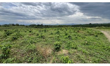 VENTA DE FINCA EN ALCAL, VALLE, COLOMBIA
