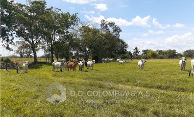 FINCA EN VENTA EN VEREDA EL GUAMO EN VILLAVICENCIO - META