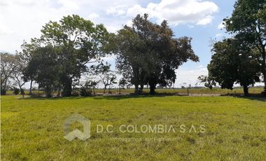 FINCA EN VENTA EN VEREDA EL GUAMO EN VILLAVICENCIO - META