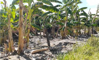 FINCA EN VENTA EN VEREDA EL GUAMO EN VILLAVICENCIO - META