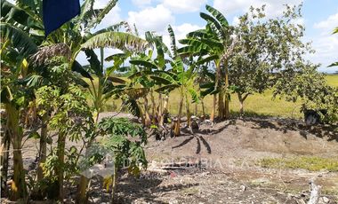 FINCA EN VENTA EN VEREDA EL GUAMO EN VILLAVICENCIO - META