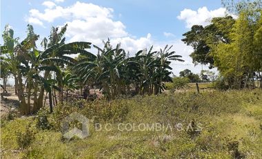 FINCA EN VENTA EN VEREDA EL GUAMO EN VILLAVICENCIO - META