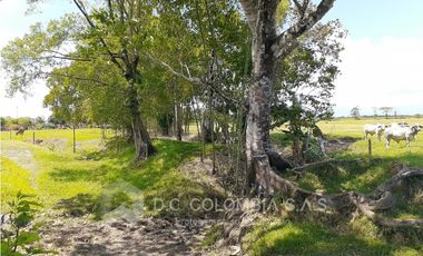 FINCA EN VENTA EN VEREDA EL GUAMO EN VILLAVICENCIO - META