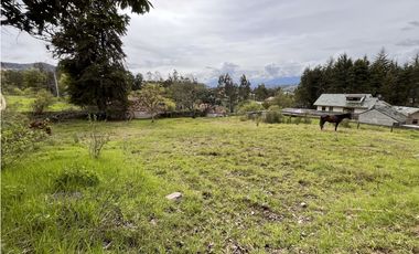 Venta de Terreno, Cuenca, Challuabamba, Apangoras 945m²