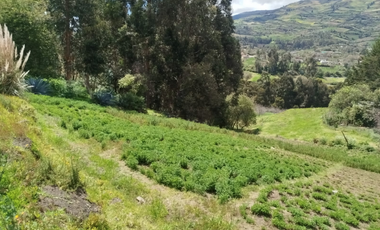 Ambato, Quero Terreno en Venta, 62000m2  6.2Hectáreas