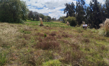 Ambato, Quero Terreno en Venta, 62000m2  6.2Hectáreas