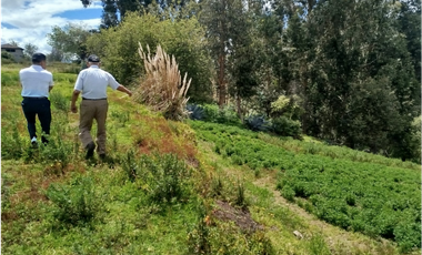 Ambato, Quero Terreno en Venta, 62000m2  6.2Hectáreas