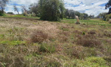 Ambato, Quero Terreno en Venta, 62000m2  6.2Hectáreas