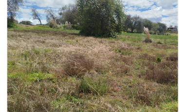Ambato, Quero Terreno en Venta, 62000m2  6.2Hectáreas