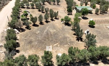 1000 m2 EXCLUSIVA COMUNIDAD PRIVADA. VALLE DE GUADALUPE