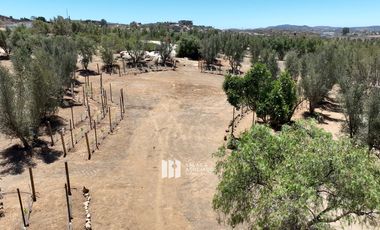 1000 m2 EXCLUSIVA COMUNIDAD PRIVADA. VALLE DE GUADALUPE
