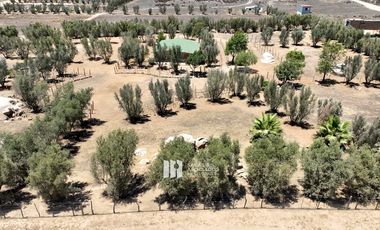 1000 m2 EXCLUSIVA COMUNIDAD PRIVADA. VALLE DE GUADALUPE