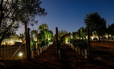 1000 m2 EXCLUSIVA COMUNIDAD PRIVADA. VALLE DE GUADALUPE