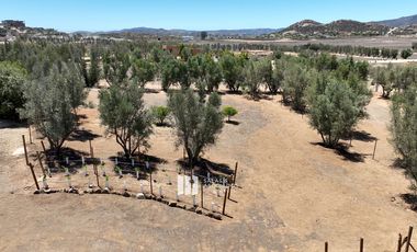 1000 m2 EXCLUSIVA COMUNIDAD PRIVADA. VALLE DE GUADALUPE