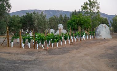 1000 m2 EXCLUSIVA COMUNIDAD PRIVADA. VALLE DE GUADALUPE