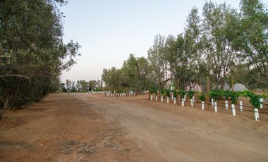 1000 m2 EXCLUSIVA COMUNIDAD PRIVADA. VALLE DE GUADALUPE