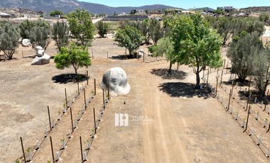 1000 m2 EXCLUSIVA COMUNIDAD PRIVADA. VALLE DE GUADALUPE